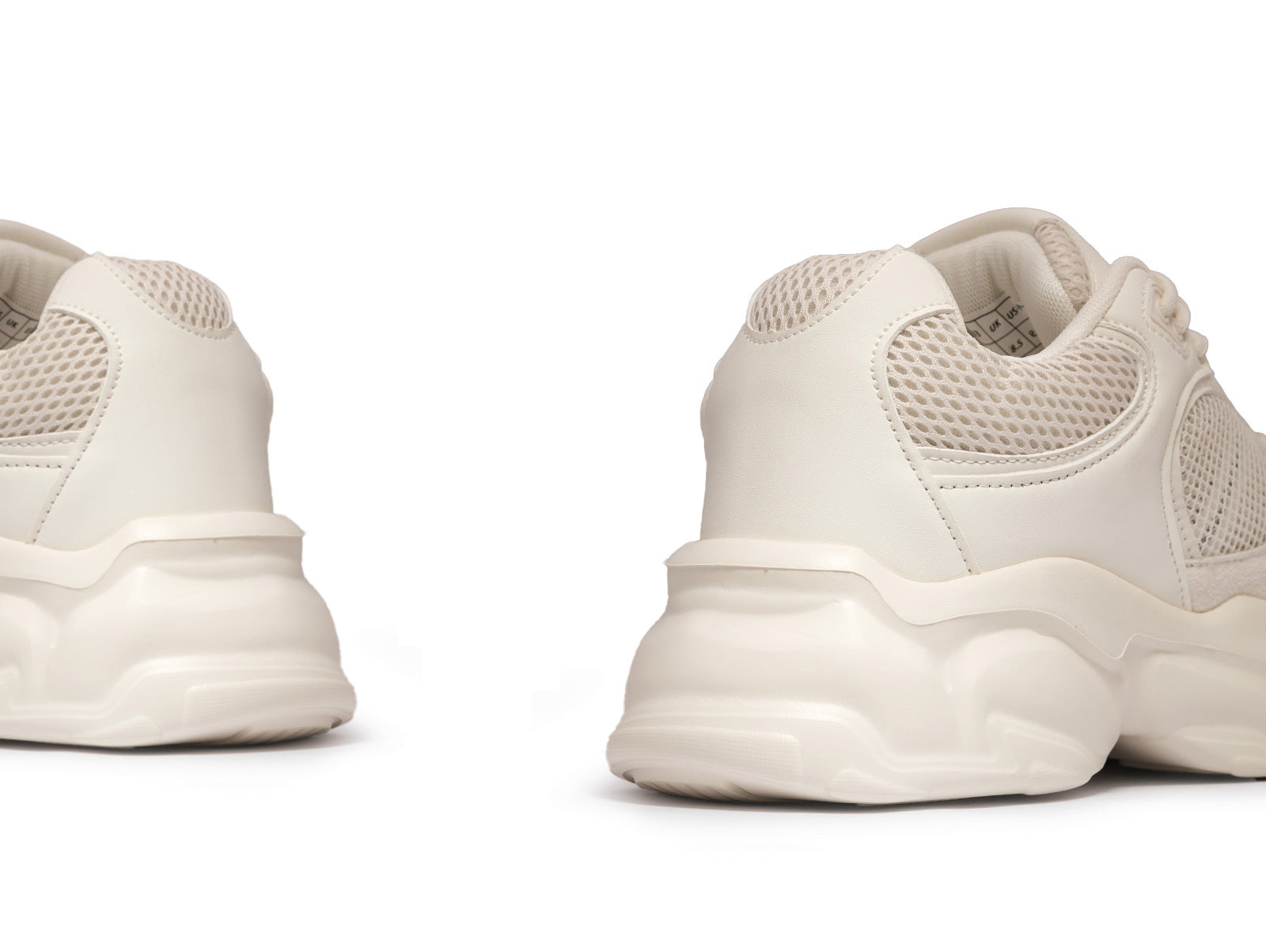 【イヌ】 WH2 Cream (2.5