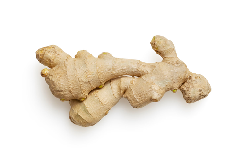 GINGER