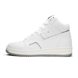 Solar Ice (2.5
