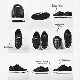 PFX01